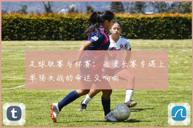 足球联赛与杯赛：当漫长赛季遇上单场决战的命运交响曲